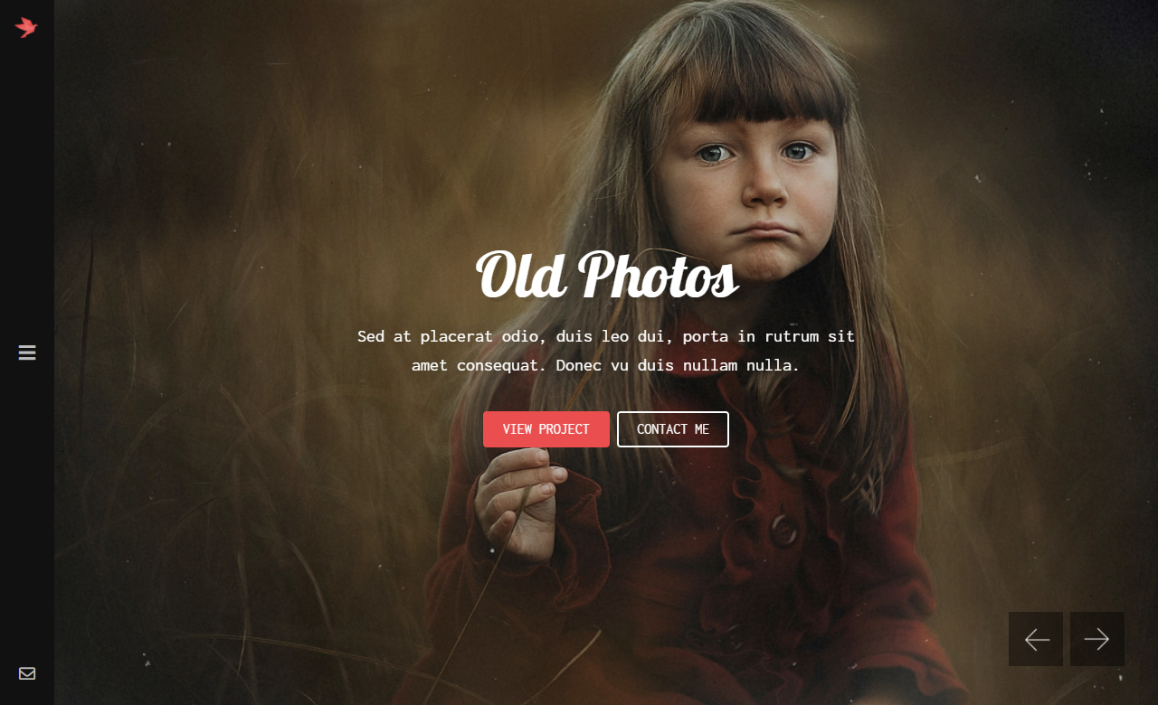 FreeBird Photography Portfolio HTML Website Template